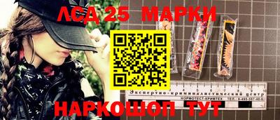 гашик Будённовск