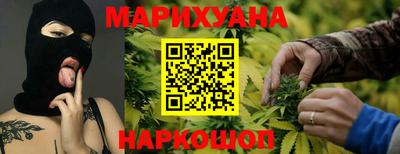 гашик Будённовск