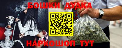 гашик Будённовск