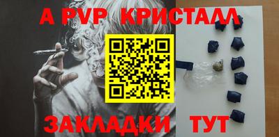 гашик Будённовск