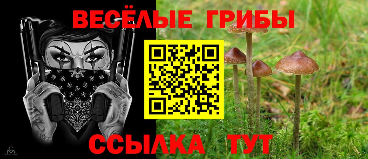 Тольятти  Галлюциногенные грибы прущие грибы  Вход с VPN 